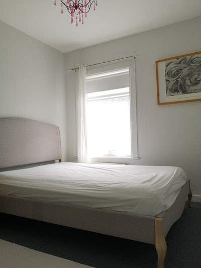 Female vegan/veggie- 2 rooms available Main Photo
