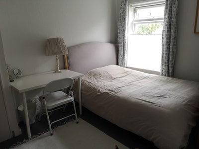 Female vegan/veggie- 2 rooms available Main Photo