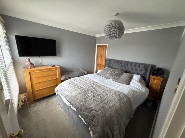 Room to rent Main Photo