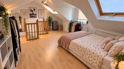 Spacious Attic Room | Exeter City Centre |  Main Photo