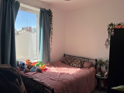 Double room available in girls hove flat! Main Photo