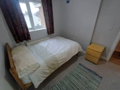 Double room Whitefield with owner & her cat Main Photo