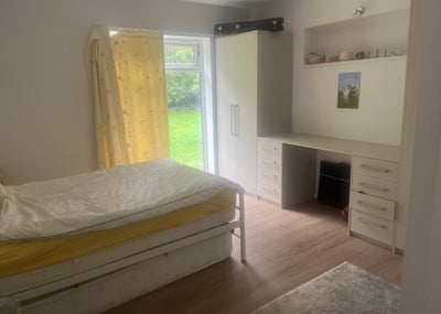 Large bedroom to  let in shared rural bungalow Main Photo