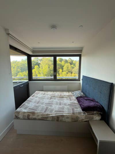 Bright, Spacious Double Room in Friendly & Quiet F Main Photo
