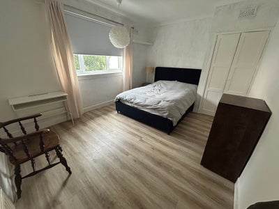 Gorgeous, huge double room available  Main Photo
