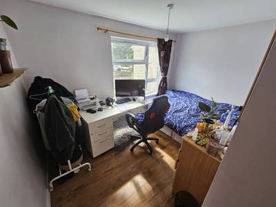 Spacious and clean room available in a friendly an Main Photo