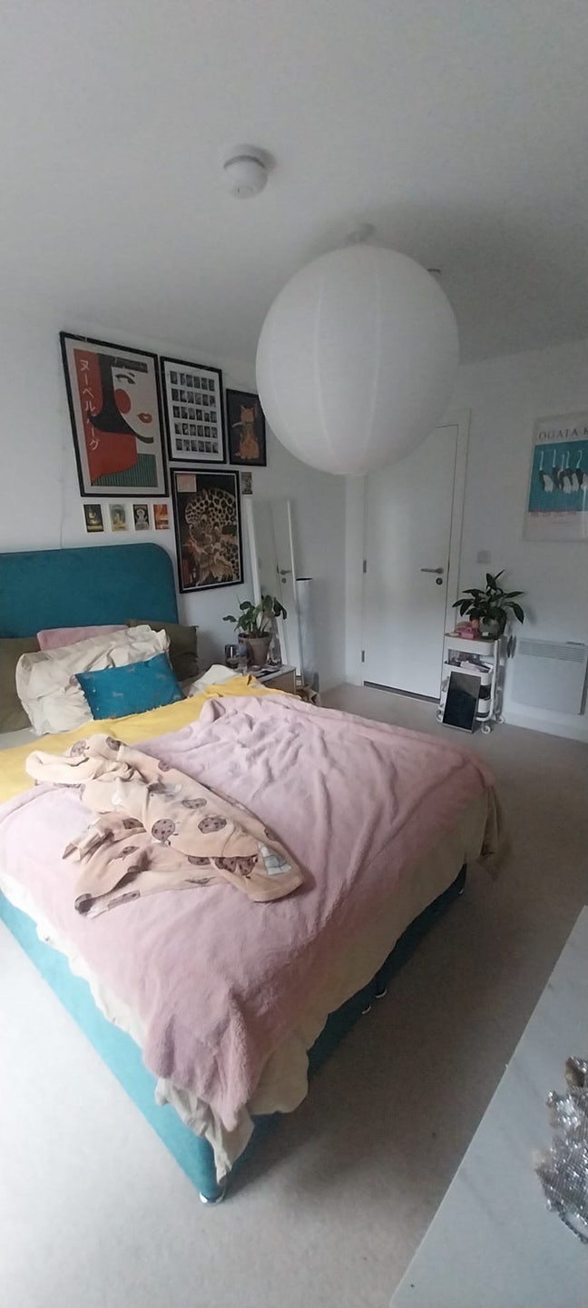 En-suite room in 2 bedroom apartment   Main Photo