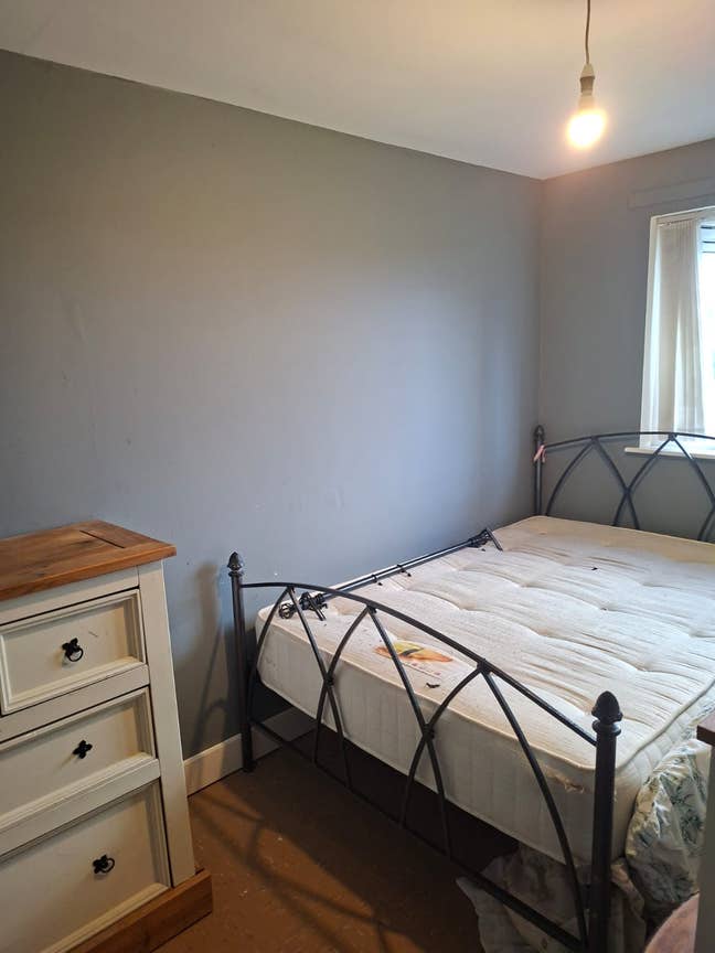 Single Room Available – Bracken Avenue BT33 0HG Main Photo