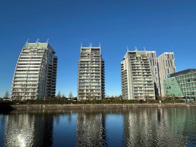 Rooms Available at NV Building Main Photo
