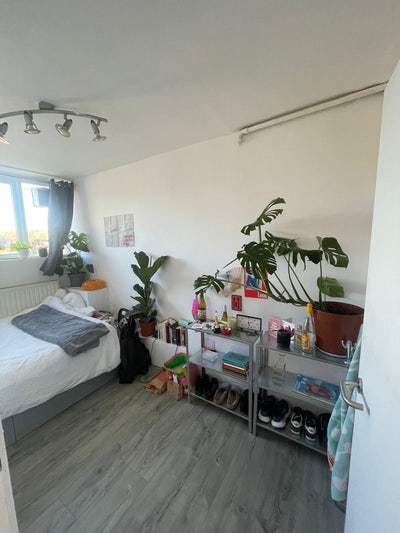 Urgent - Victoria Park Room Available Main Photo