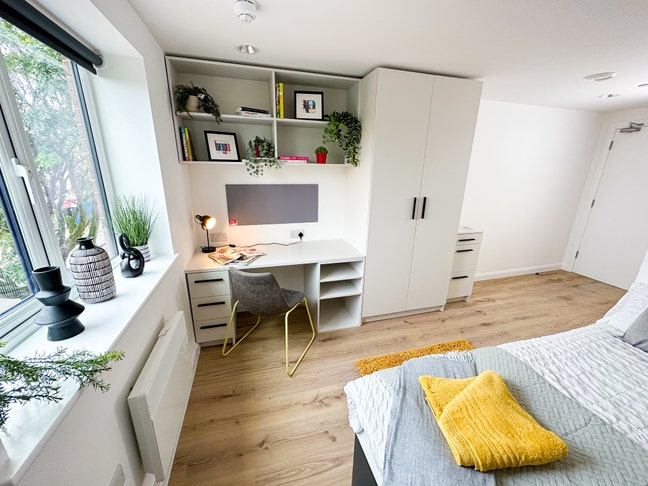 Boutique style professional Co living  Main Photo