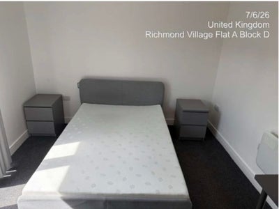 3 bed flat spare room - Cathays  Main Photo