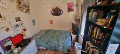 Double Room in Friendly Homerton Houseshare Main Photo