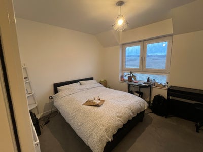 Room available Dundee Main Photo