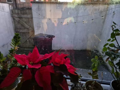 Room for rent in Sandhurst Gardens/ BT9 Main Photo