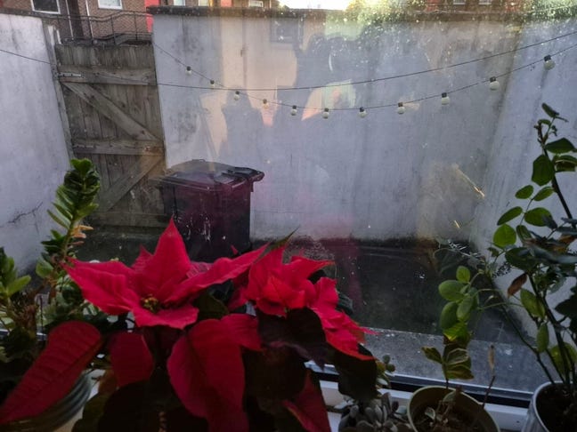 Room for rent in Sandhurst Gardens/ BT9 Main Photo