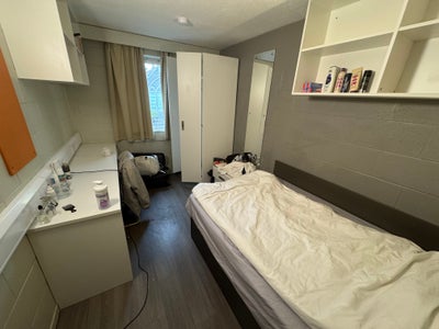 Student Room Available Asap – Spring Gardens Main Photo