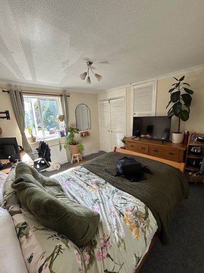 Bright Double Room in Calm and Friendly House  Main Photo