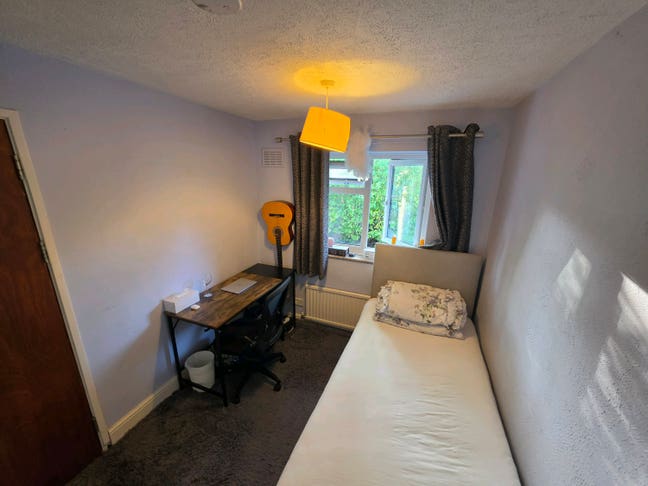 Lovely Single Room in Central Location  Main Photo