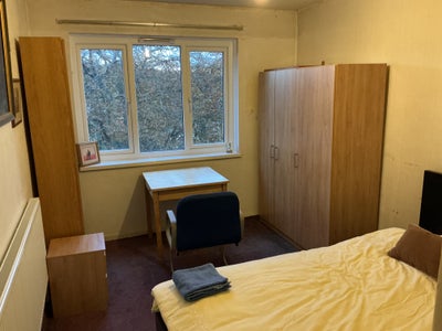 Bright sunny room to rent in shared flat Main Photo