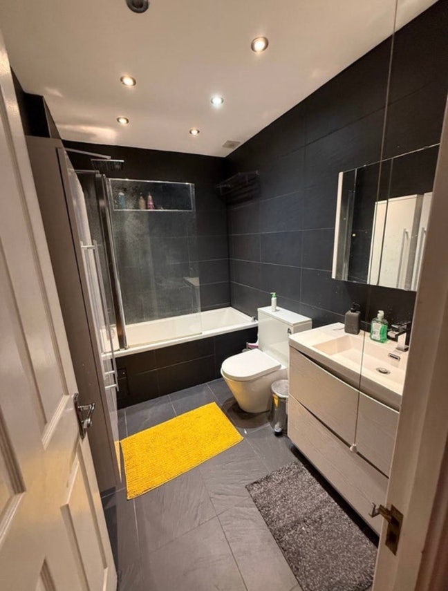 Professional female for 2B2B rent needed Main Photo