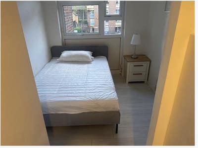 Room in lovely flat on Hackney Road Main Photo