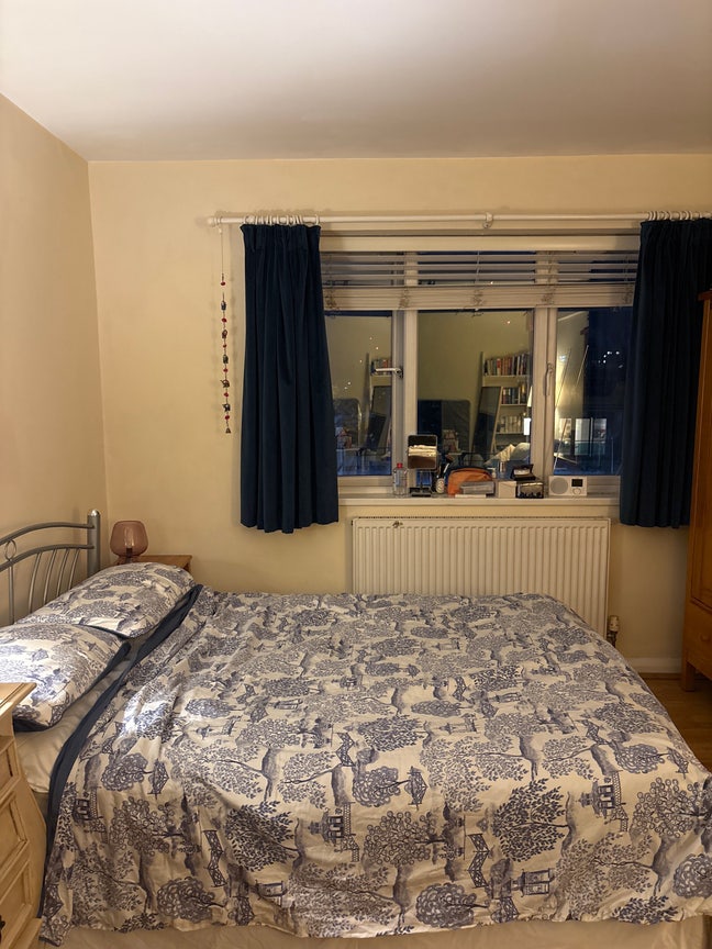 Big Double Room in Whitechapel/Shadwell Main Photo