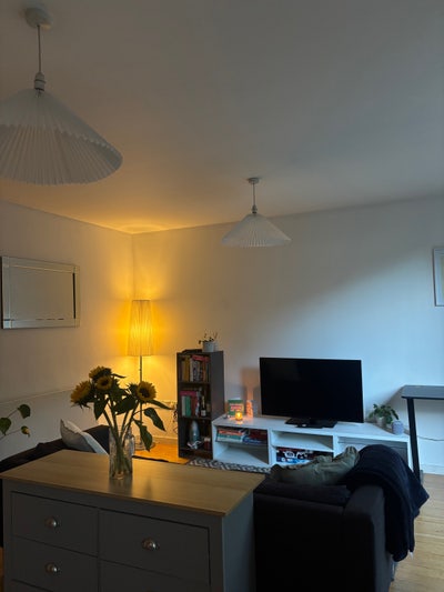 Sunny double room in 2 bed in Brixton/Herne Hill Main Photo
