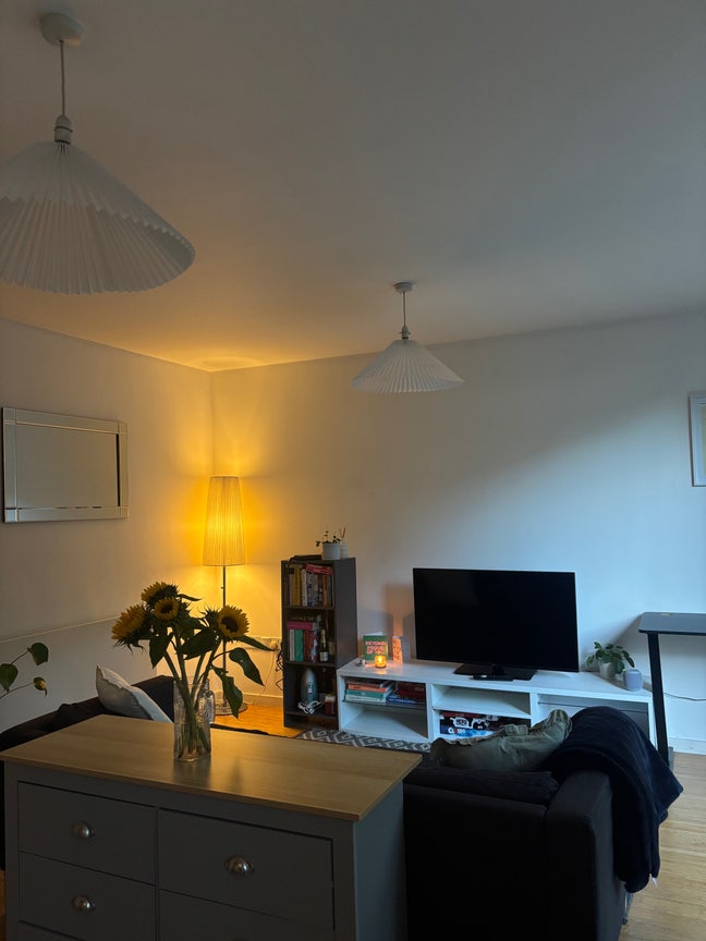 Sunny double room in 2 bed in Brixton/Herne Hill Main Photo