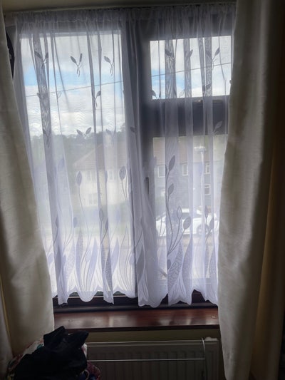 Single Room available  for mature lady or student  Main Photo