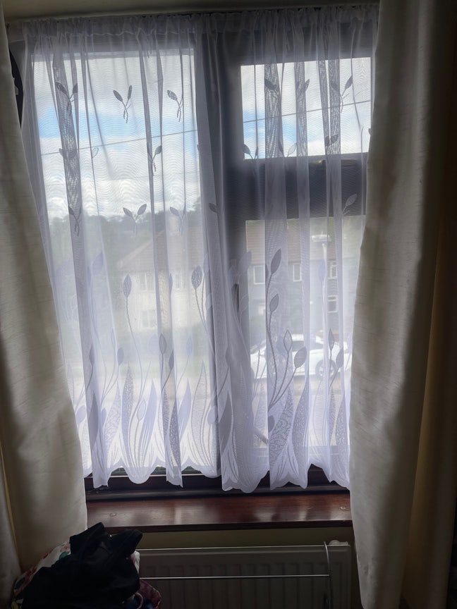 Single Room available  for mature lady or student  Main Photo