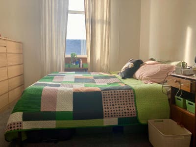 🏡 Bright, Spacious Double Room - Appin Terrace 🏡 Main Photo