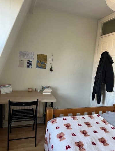  Lovely room in Brixton/Loughborough Junction Main Photo