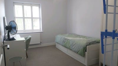 Comfortable Double Room in Vegetarian Home Main Photo