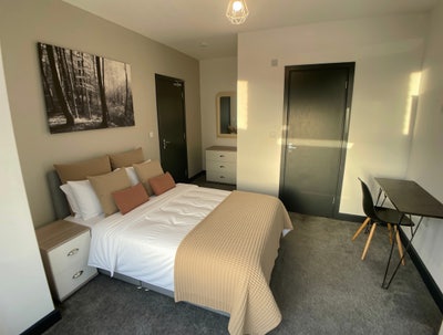 🏛️ Beautiful Room in Renovated Edwardian Home🏛️ Main Photo