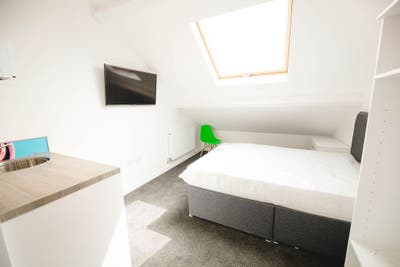All Inclusive Double Ensuite Room, Brynmill. Main Photo