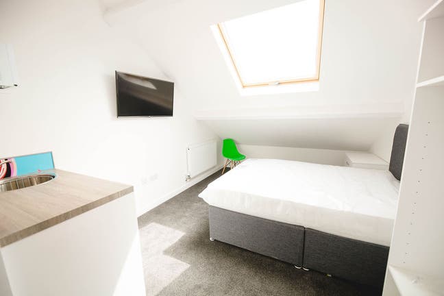 All Inclusive Double Ensuite Room, Brynmill. Main Photo