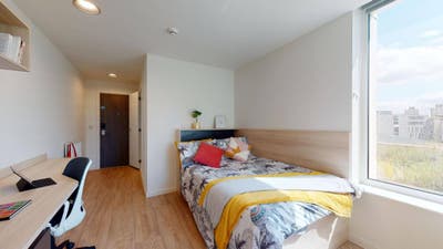 UoL Eleanor Rosa House - Large Single Ensuite  Main Photo