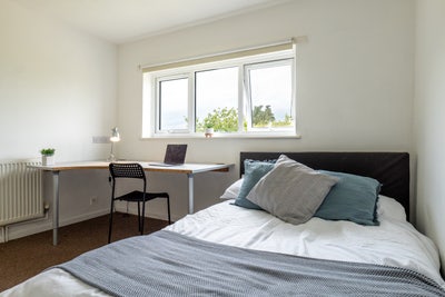 Large Double in Professional Filton houseshare Main Photo