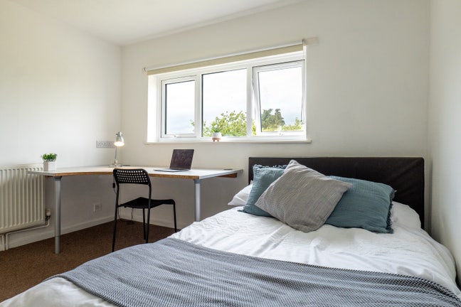 Large Double in Professional Filton houseshare Main Photo