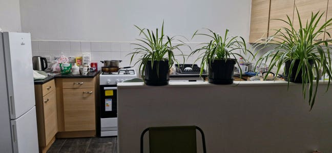 The room in a two-bedroom apartment. Main Photo