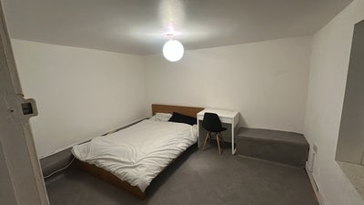 3 bed, 10 mins from UoL Main Photo