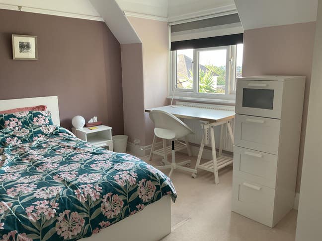 Lovely bright double room close to university  Main Photo