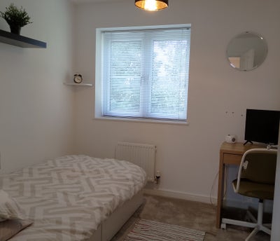Peaceful, friendly home, in a great location Main Photo