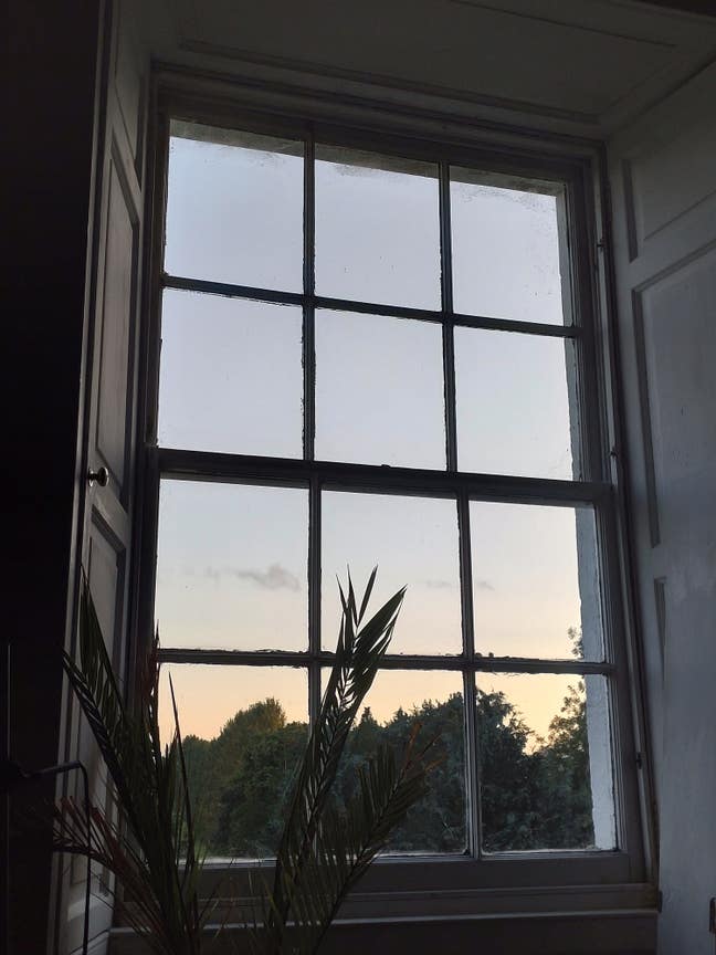 Huge Double Room in Arty, quiet Flat.  Main Photo