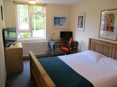 Large double room available Main Photo