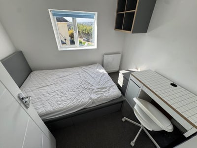 1 room to let Main Photo