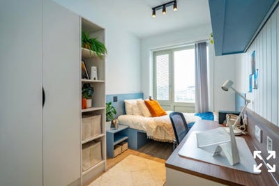 'Student Takeover' 1 bedroom ensuite in flat for 4 Main Photo