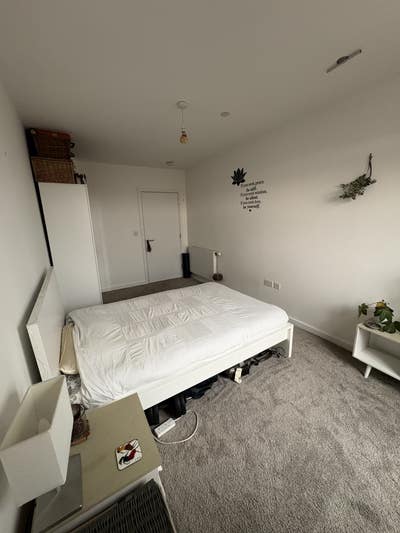 Beautiful En-Suite Room in Calm, Conscious Home Main Photo