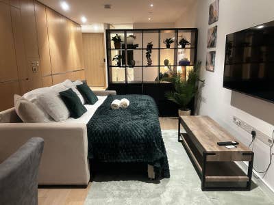 Spacious Studio Apartment - 5min from Canary Wharf Main Photo